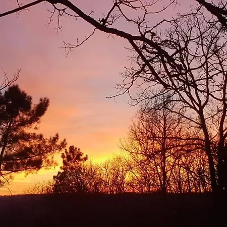 Le Nieudegat Et Table D'hote Piscine Climatisation Proche De Sarlat Au Coeur De La Nature 3*